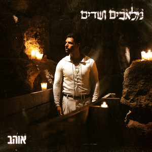 מלאכים ושדים