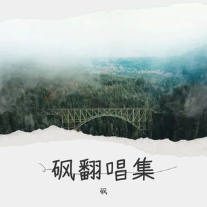 天若有情-砜