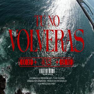 Tu no volveras