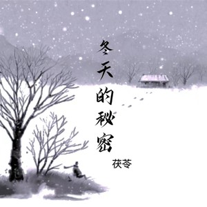 冬天的秘密