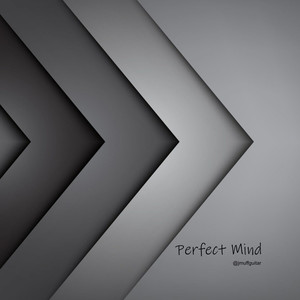 Perfect Mind