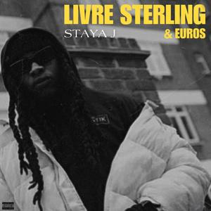 Livre sterling & Euros