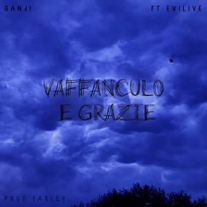 Vaffanculo e grazie (Explicit)