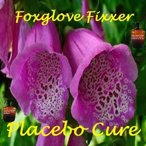 Foxglove Fixxer