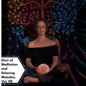 Elixir Of Meditation And Relaxing Melodies, Vol. 08