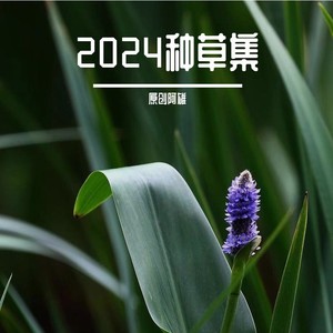 2024种草集