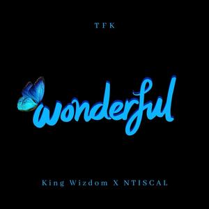 Wonderful(feat. Ntiscal)