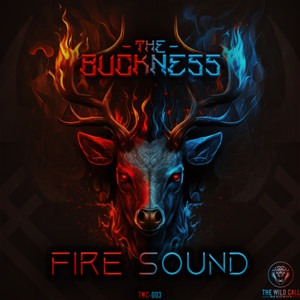 Firesound (Radio Edit)