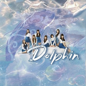 Dolphin