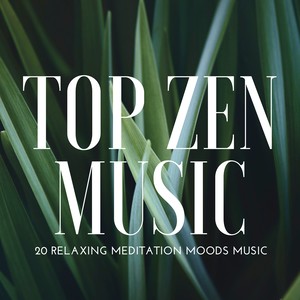 Top Zen Music: 20 Relaxing Meditation Moods Music for Spiritual Development, Yoga, Spa & Massage