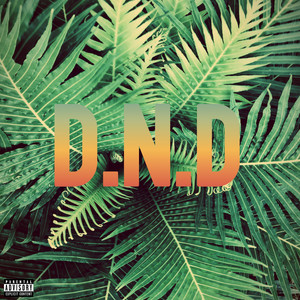 D.N.D (Explicit)