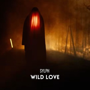 Wild Love (Radio Edit)
