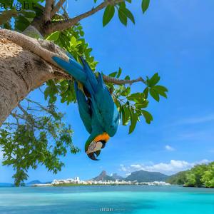 aight (feat. Rooka!) (Explicit)