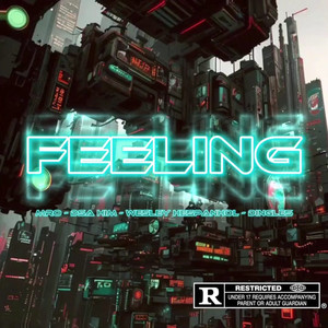 Feeling (Explicit)