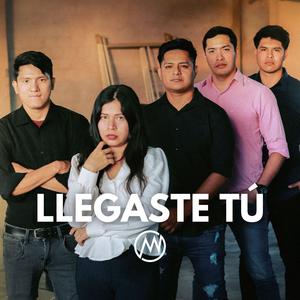 Llegaste tú