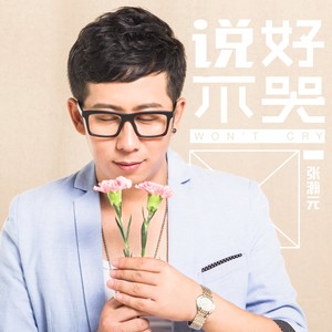 说好不哭