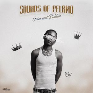 SOUNDS OF PELAMO (Explicit)