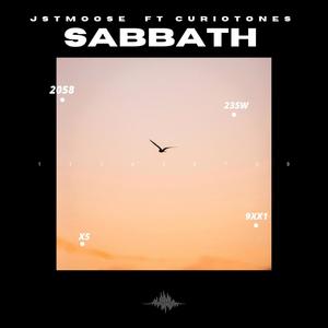 Sabbath (feat. Curiotones)