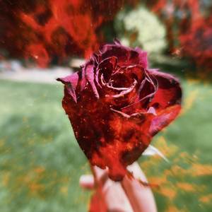 WHO YOU THINK ARE? (Explicit)