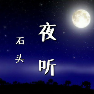 【夜听】人生只有一次，别总说等下次 - 石头封面