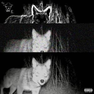 COYOT3 PACK. (Explicit)