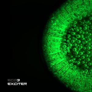 Exciter (feat. Edwards Arabu) (Remix)