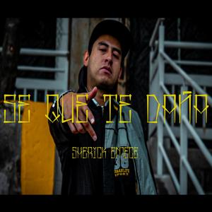 Se Que Te Daña (Explicit)