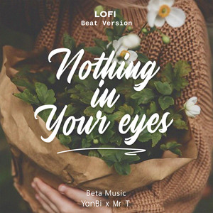 Nothing In Your Eyes (Lofi Beat)