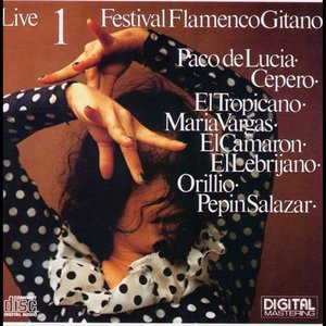 Festival Flamenco Gitano (1 Live)