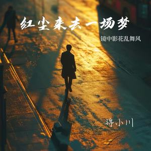 红尘来去一场梦（镜中影花乱舞风)
