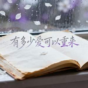 有多少爱可以重来 (常常责怪自己当初不应该)