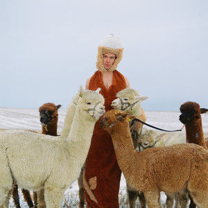 Many Times Interlude