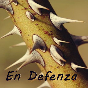 La vida empieza cada cinco minutos