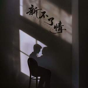 新不了情