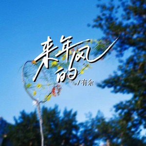 来年的风