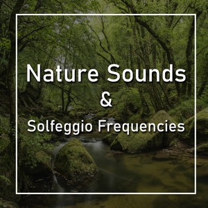 Nature Sounds - Rain Thunder and Solfeggio 396 Hz