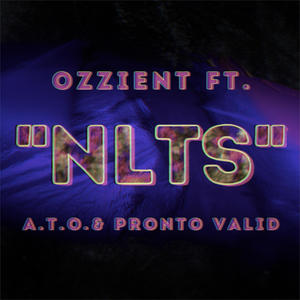 NLTS (feat. A.T.O. & Pronto Valid) (Explicit)