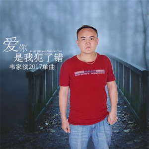 爱你是我犯了错