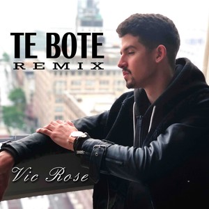 Te Boté Remix