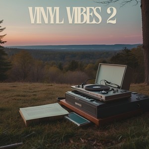 Vinyl Vibes 2