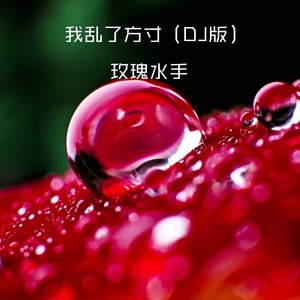 我乱了方寸 (DJ版)