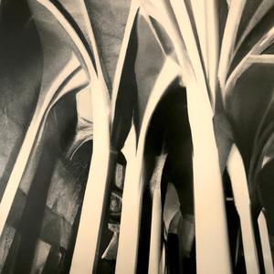 Prayers Into The Abyss / (Meditations For The Disembodied)