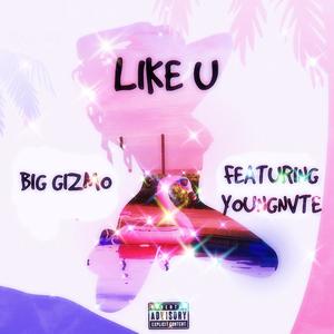 LIKE U (feat. YoungNvte) (Explicit)