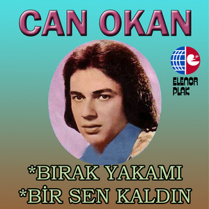 Bir Sen Kaldın