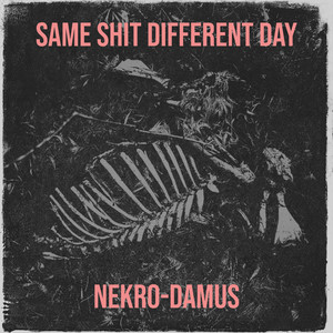 Same *** Different Day (Explicit)