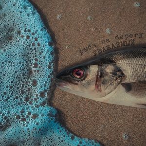 РЫБА НА БЕРЕГУ