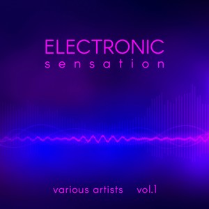 Electronic Sensation, Vol. 1