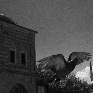 ZMARNOWANE MIEJSCE (Explicit)