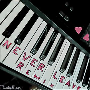Never Leave (Remix)