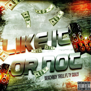 Like It or Not (feat. Ty Gully) [Explicit]